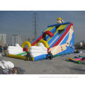 Commercial inflatable water slide for kids and adults